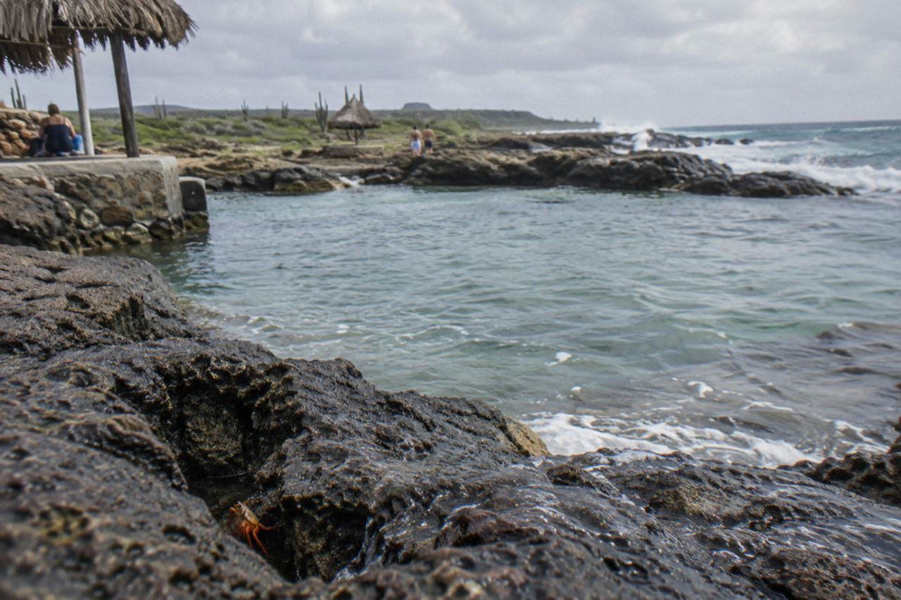 Rocky volcanic shoreline surrounding a calm natural pool on Aruba's north-east coast